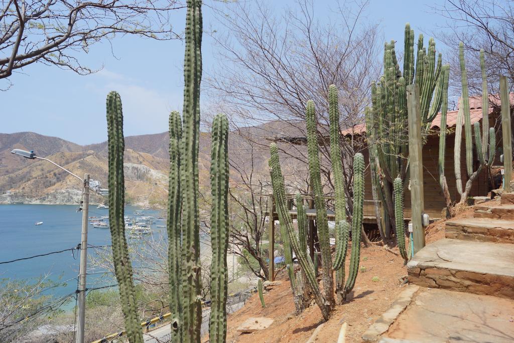 Hotel Cactus Taganga Exterior photo